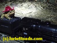 /home//u458753944/public_html/sourcegallery////////////////////////Roxborough Toad Detour/2013-2019/2017/P4050680.JPG